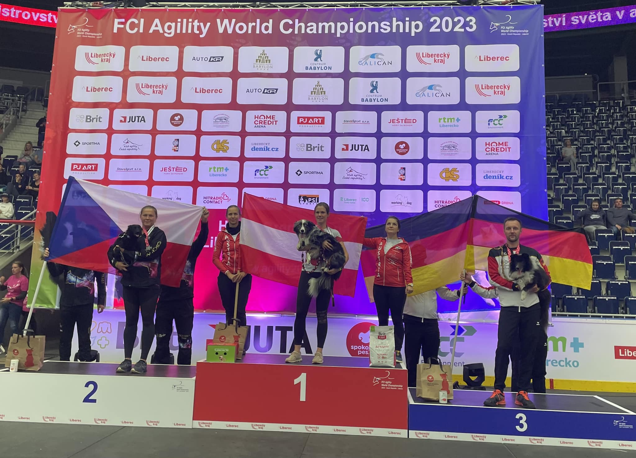 Seletiva para o FCI Agility World Championship 2023 – Brasil Agility,  classificações de championship 2023 